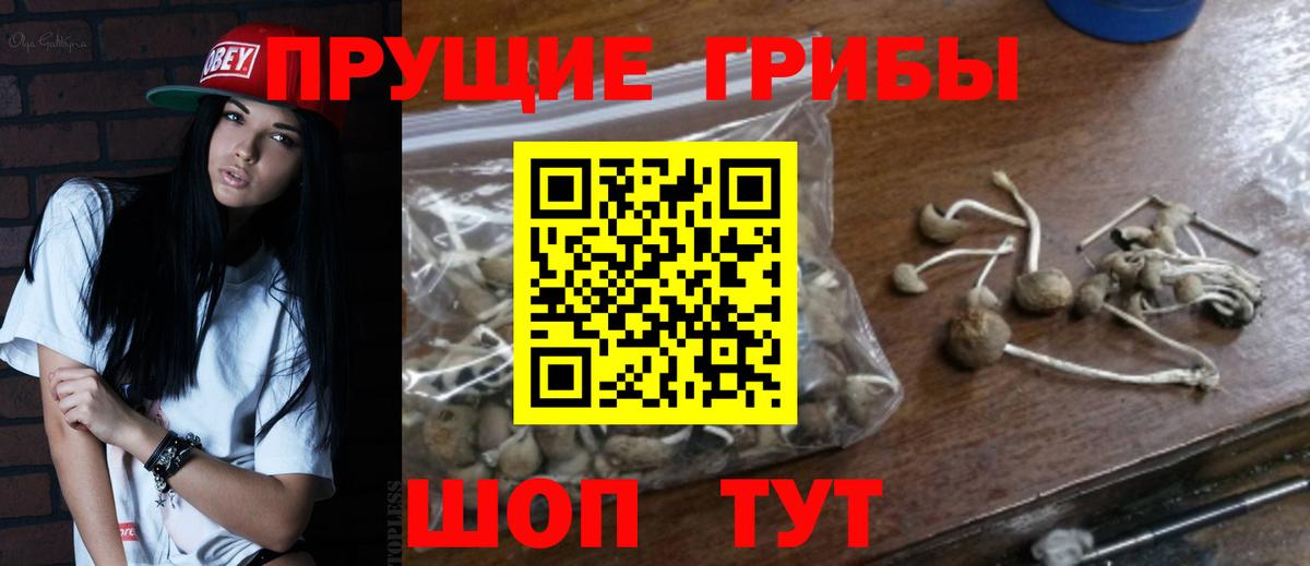 Белово  Псилоцибиновые грибы Magic Shrooms  Вход с VPN 
